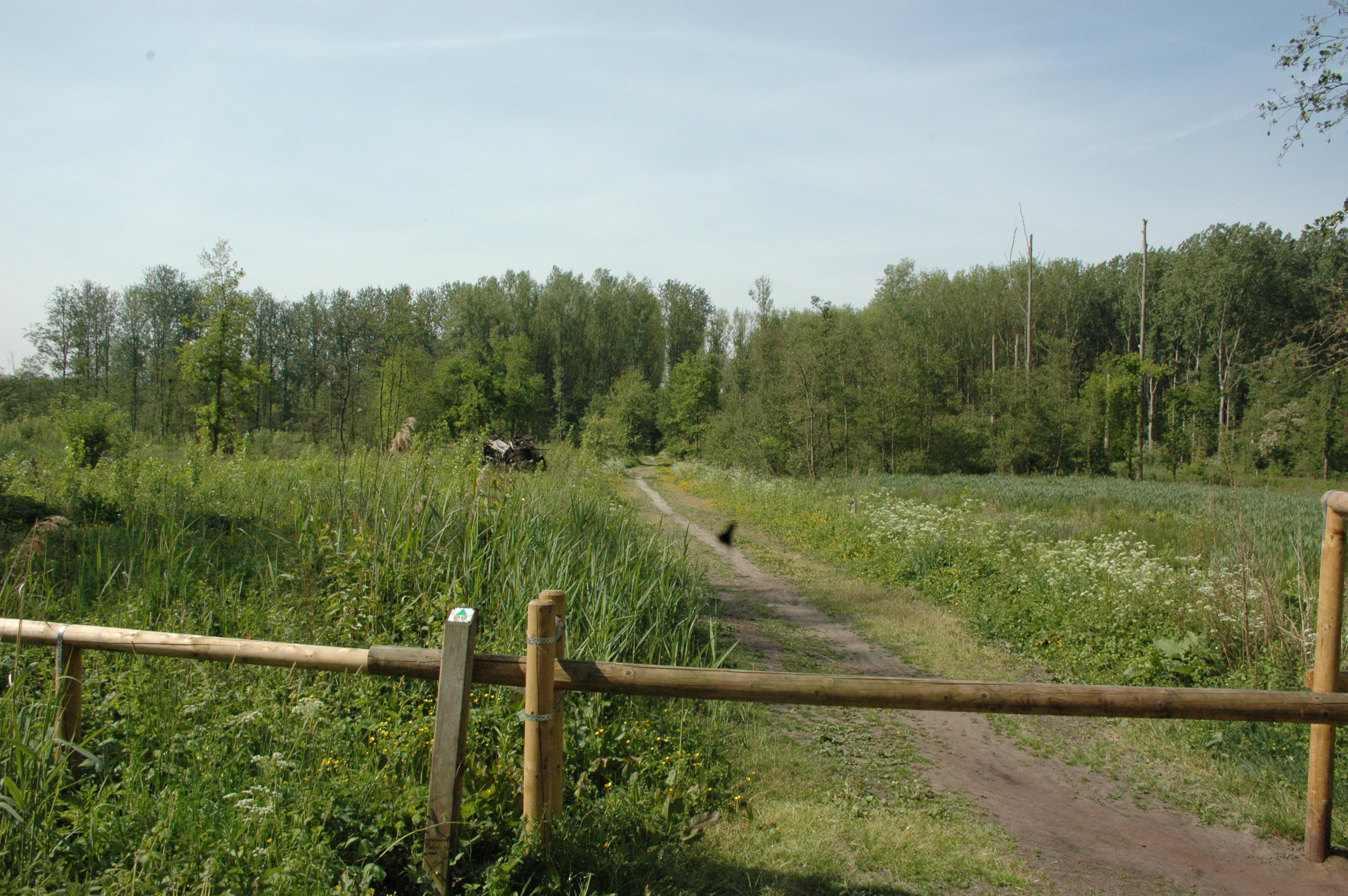 berlare-broek-agentschap-voor-natuur-en-bos